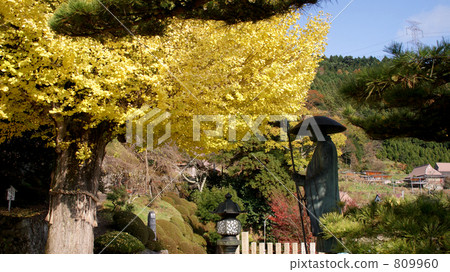 Horikoshi Hiroshi Kannon's colorful large ginkgo and Kobo Daishi statue 809960