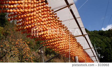 肉串烤肉 肉串烤肉 810068