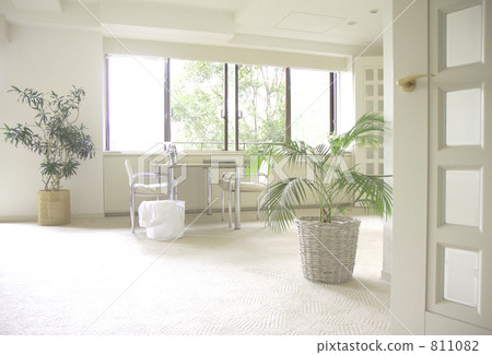 Iron of laundry Iron of laundry 811082