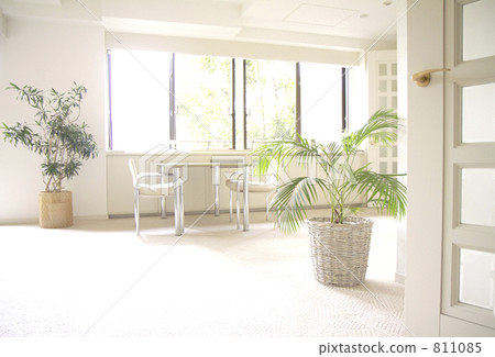 A room full of cleanliness 811085