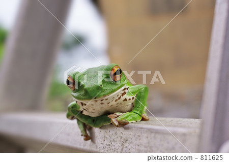 Do you like something? 811625