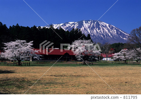 Koiwai farm in spring 811705