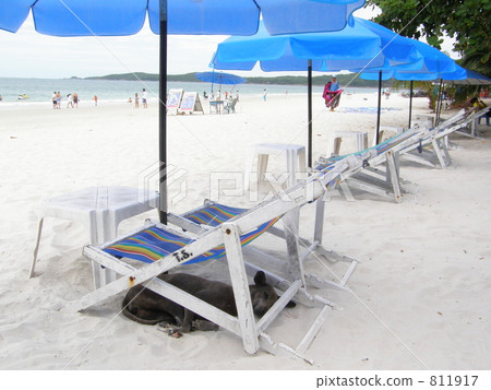 Koh Samet beach and dog koh samet Koh Samet beach and dog koh samet 811917