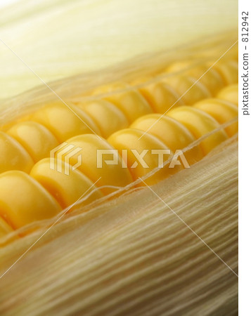 有光澤和錐形 812942