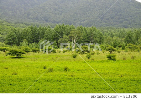 Odashihara的夫人 813200