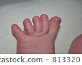 寶寶的腳 813320
