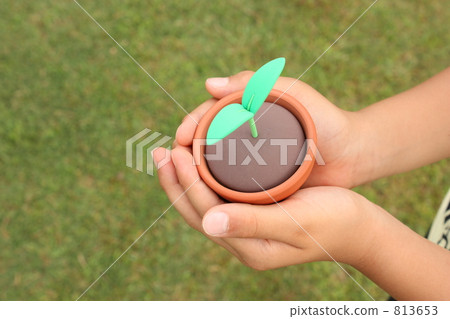 Ecology Ecology 813653