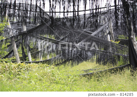 Abandoned land Abandoned land 814285