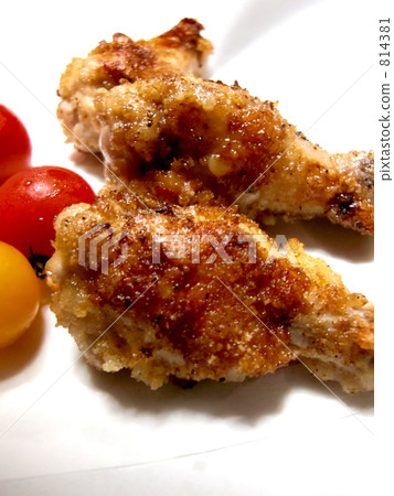 翅膀起源的油炸Tatsuta 814381