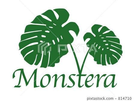 Monstera 814710
