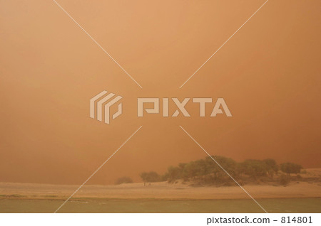 在沙塵暴中 814801