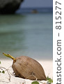 Phuket · Phi Phi Island, Palm Fruit 815277