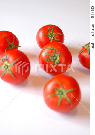 Tomato Tomato 815606