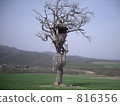 Tree house used in Nescafe's CM location Tree house used in Nescafe's CM location 816356