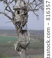 Tree house used in Nescafe's CM location Tree house used in Nescafe's CM location 816357