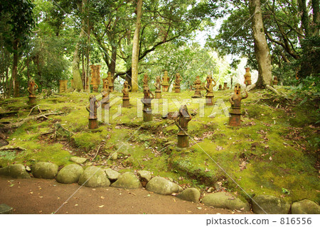 haniwa park, haniwa, heiwadai park 816556