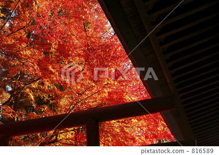 under the eaves, old-fashioned, light and shade 816589