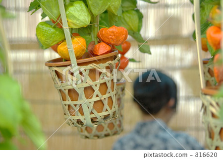 奇克斯市 奇克斯市 816620