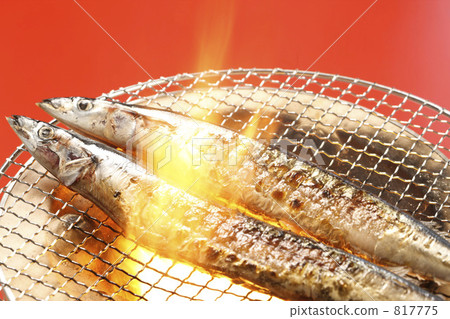 針魚 梭魚 食物 817775