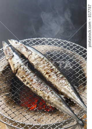 網 網格 針魚 817787