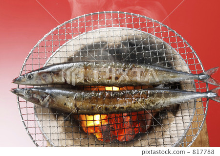 針魚 梭魚 食物 817788