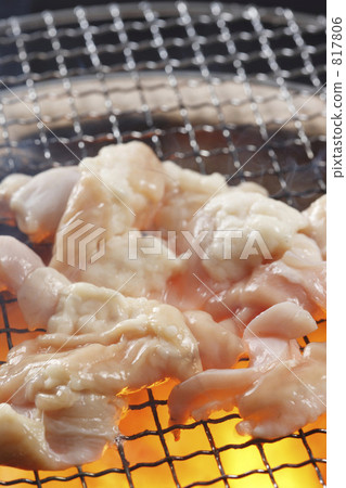 Grilled hormone 817806