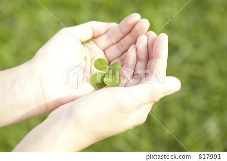 Hold a four leaf clover in both hands Hold a four leaf clover in both hands 817991