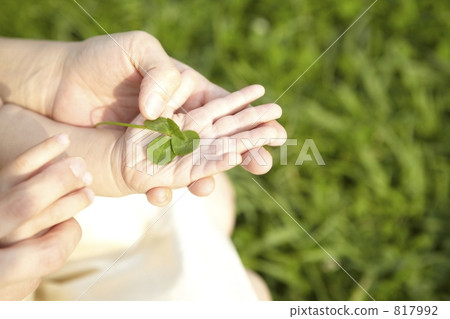 雙手握住四葉草 817992