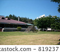 dense wood, lawn, sward 819237