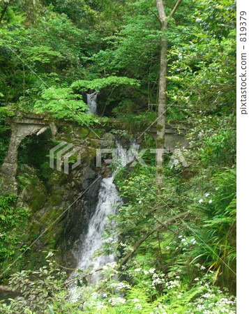 waterfall, mountain forest, mountains and forest 819379