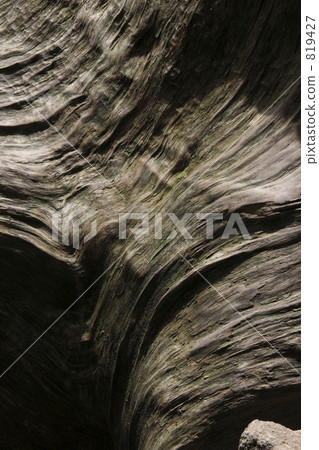 Yaku cedar bark Yaku cedar bark 819427