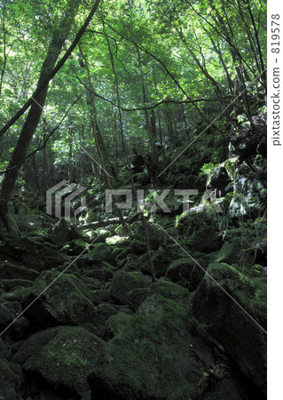 Shiratani Yunizu Gorge 819578