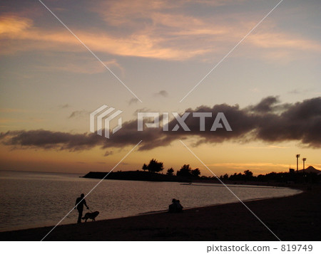 From the forest of the 21st century Forest 819749