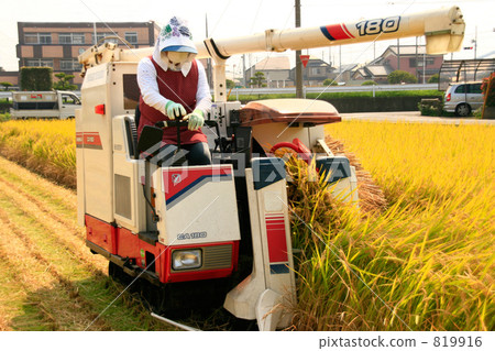 收穫與聯合收割機的婦女米 819916