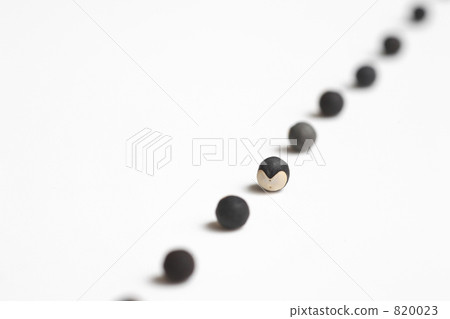 Balloon kuzu seed 820023