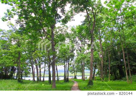 oonuma park, lakeside, onuma quasi-national park 820144