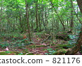 Aokigahara jikai near the West Lake bat Sorghum 821176