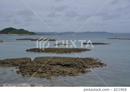 coral reef, reefs, full summer 821908