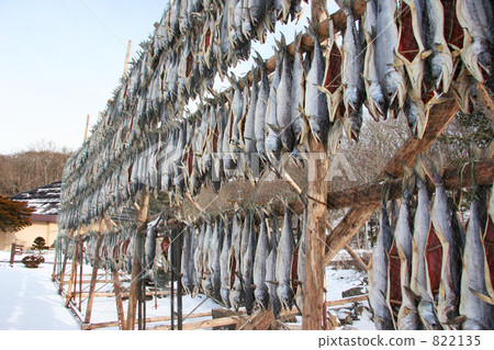 Shake in Hokkaido Shake in Hokkaido 822135