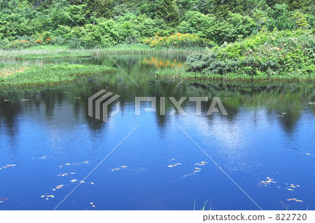 The water lily swamp in summer (Aomori) The water lily swamp in summer (Aomori) 822720