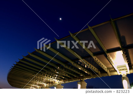 享有海港景色的山地公園 享有海港景色的山地公園 823223