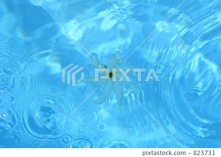 transparency, cool-looking, refreshing to look at 823731