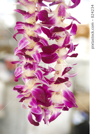 zero, ray, lei 824234