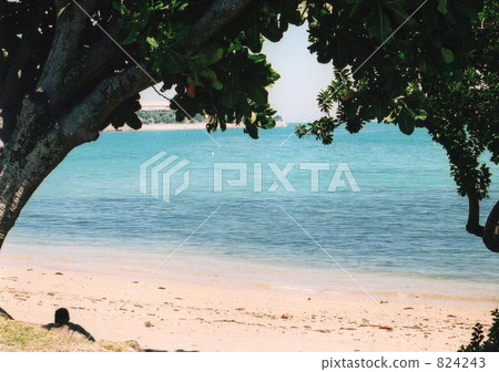 Shade and sea. 824243