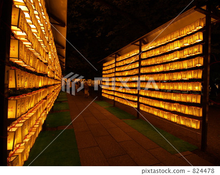 Tama Matsuri Yasukuni Shrine 824478