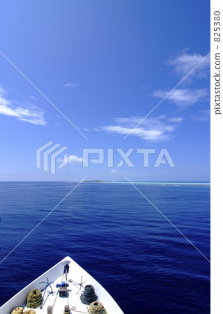 海 大海 海洋 825380