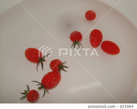 西紅柿 番茄 蔬菜 825864