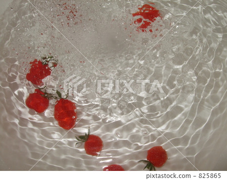 番茄 西紅柿 蔬菜 825865