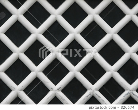 Sea cucumber wall 826574