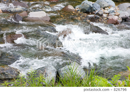 Early summer mountain stream (Thin root of Kawaba village in Gunma Prefecture) 826796